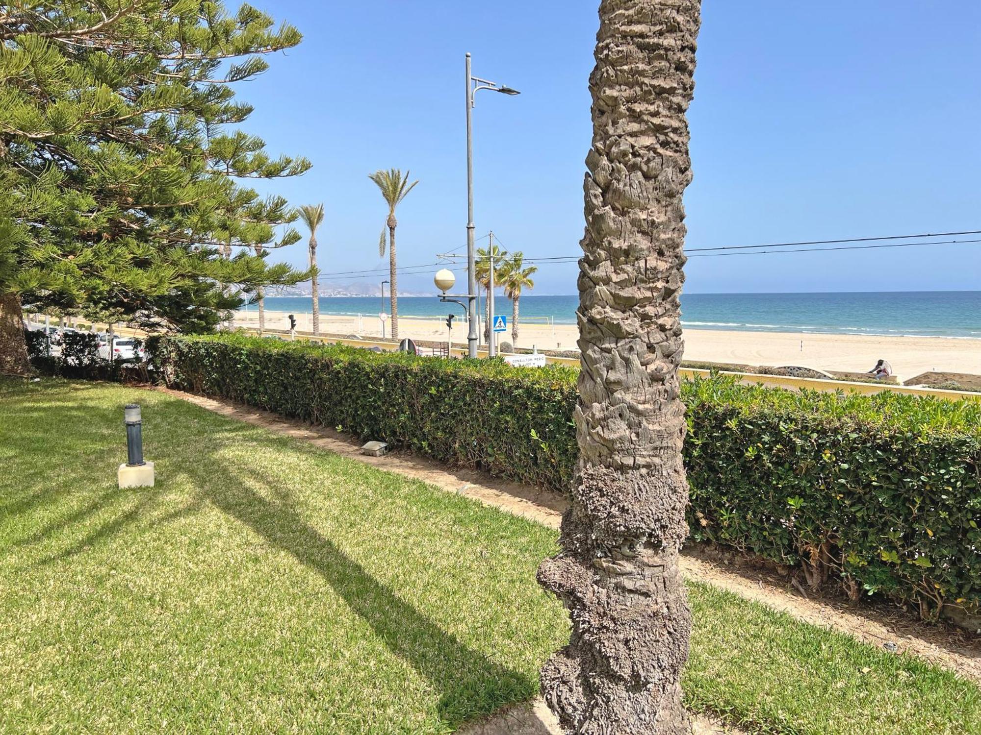 엘 캄펠로 Oasis Frente Al Mar. Parking Gratis 아파트 외부 사진